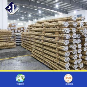 Gevind studs, hvid zink finish, M10, 2,0 m længde, hot salg i Rusland 